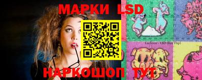 сатива Краснодар