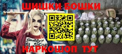 сатива Краснодар