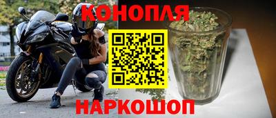 сатива Краснодар