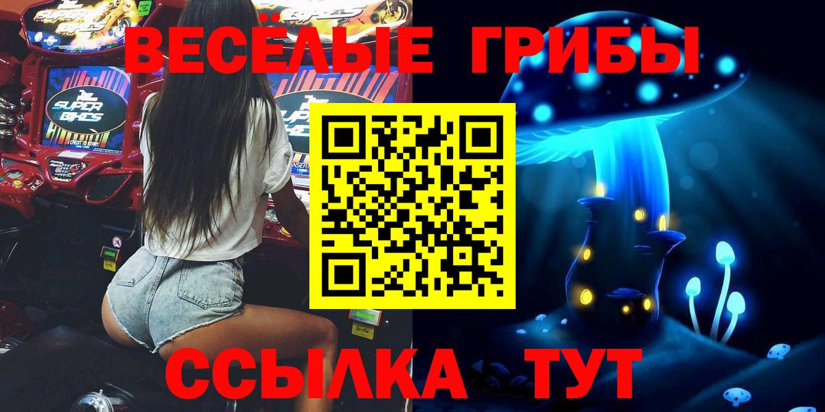 Галлюциногенные грибы GOLDEN TEACHER Казань