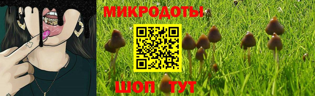 Галлюциногенные грибы ЛСД  купить закладку  Казань  Вход с VPN 